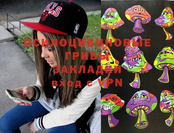 МДПВ Сосновоборск