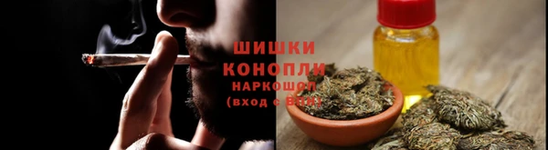 МДПВ Сосновоборск