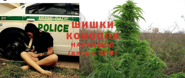 МДПВ Сосновоборск