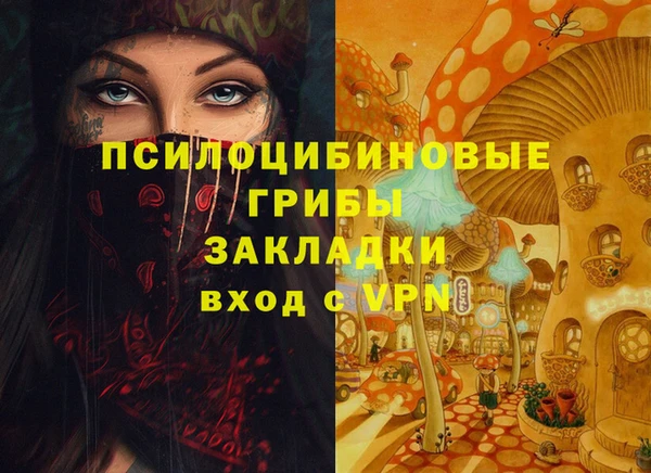 МДПВ Сосновоборск