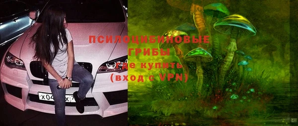 МДПВ Сосновоборск