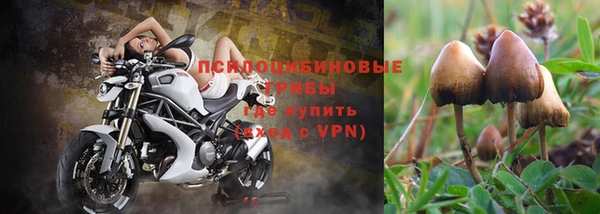 МДПВ Сосновоборск