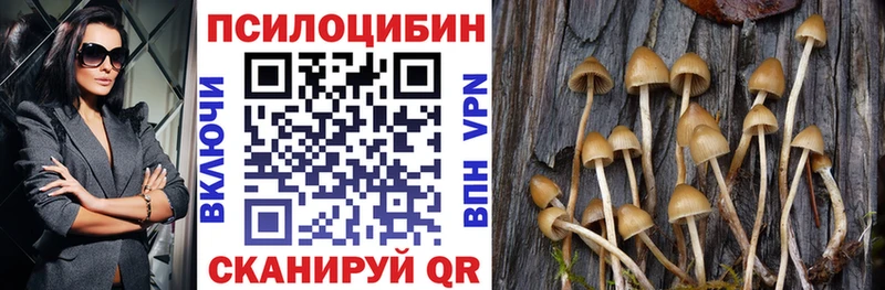 Псилоцибиновые грибы GOLDEN TEACHER Кедровый